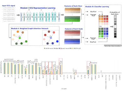 A Weighted Graph Attention Network Based Method for Multi-label Classification of Electrocardiogram Abnormalities